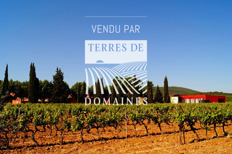 Domaine viticole de 142 h d’un seul tenant – Ref : 1916/011