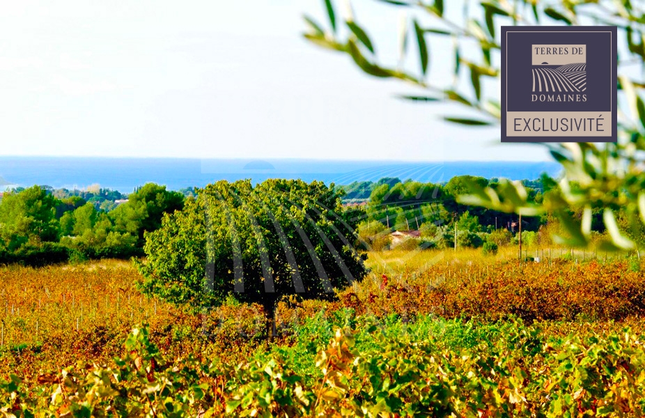 Exclusivity – Lands to plant in the Bandol appellation area – Ref : 1917/031