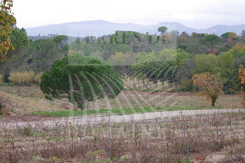 A bucolic estate in Provence – Ref :  P0086