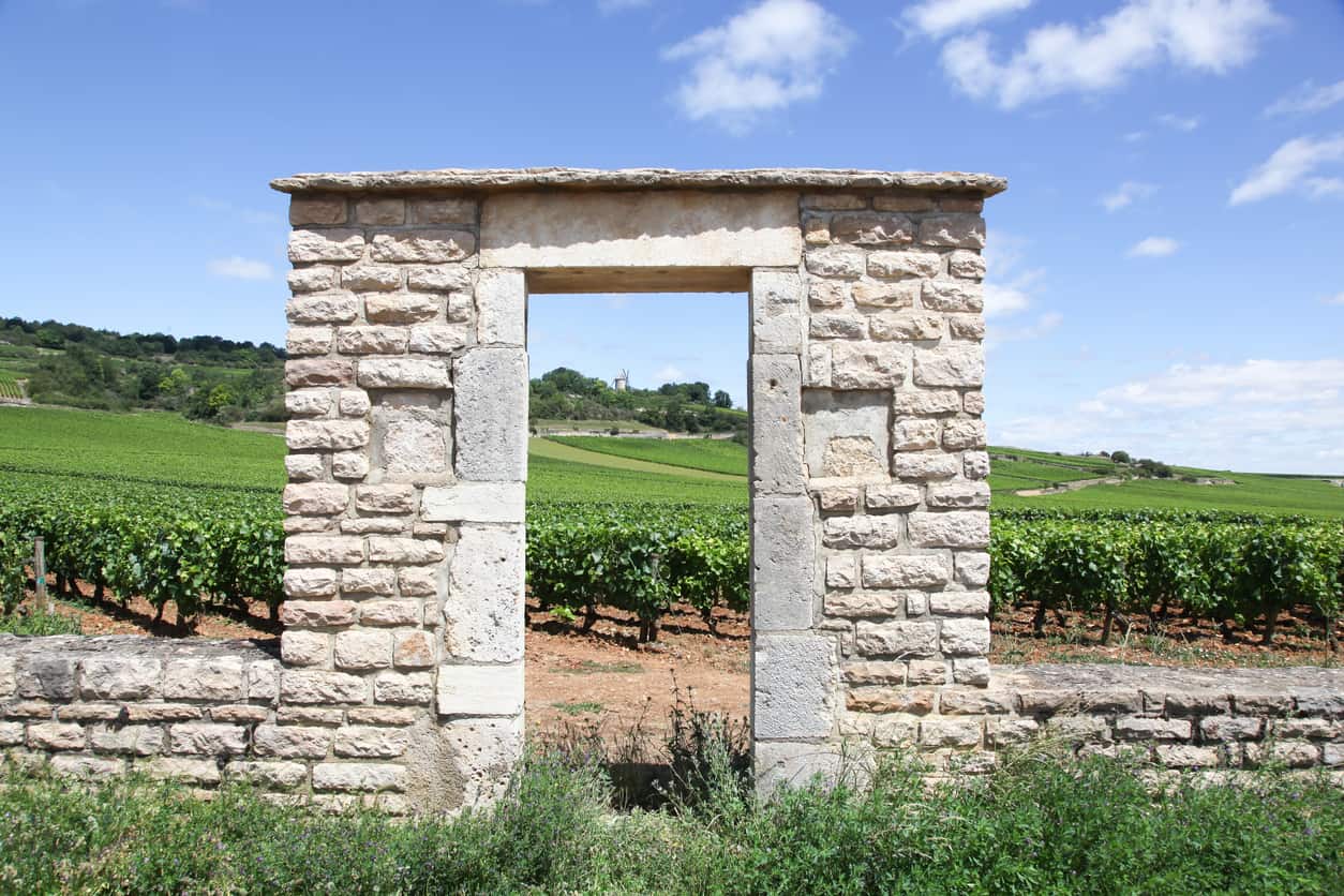 domaine viticole bourgogne opportunités