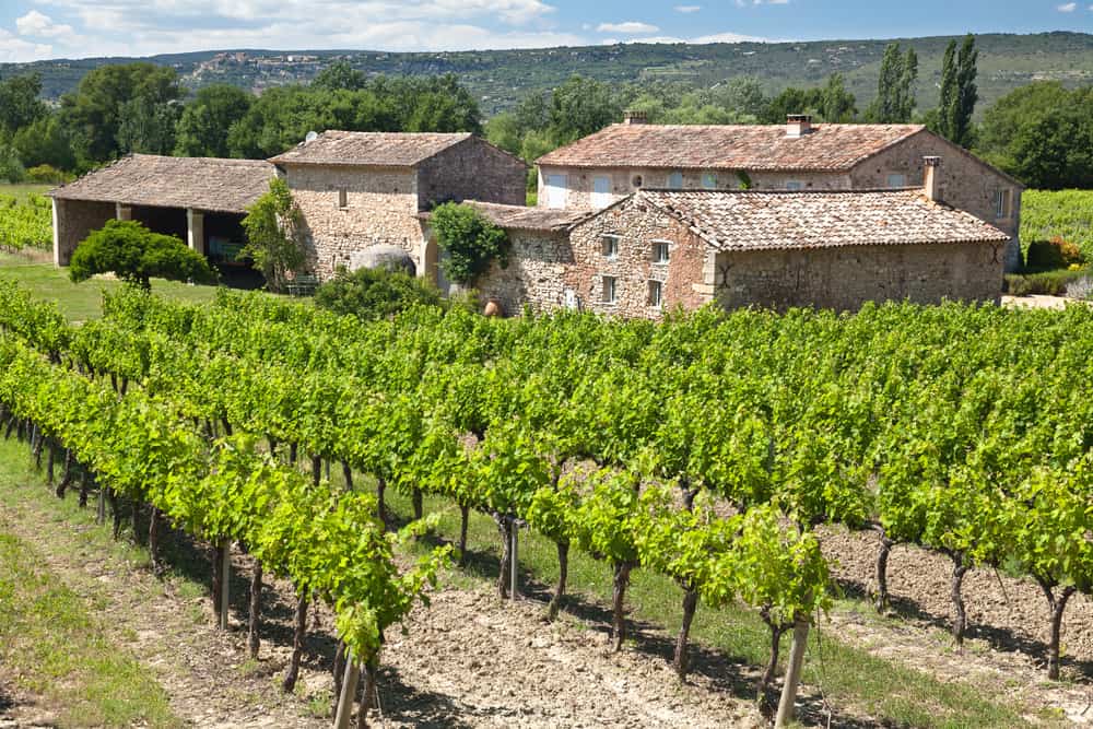 domaine viticole provence opportunites