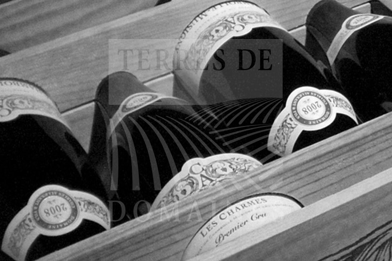 Domaine prestigieux en AOP villages et 1er Cru d’une dizaine d’hectares répartis sur les 3 côtes en Bourgogne
