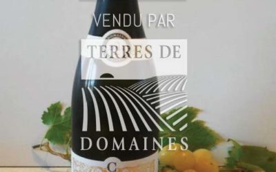 Prestigious domain in AOP Villages and 1er Cru spread over the 3 coasts