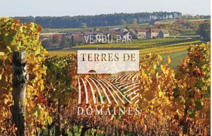 5 ha estate in regional PDO and Côte de Beaune Villages