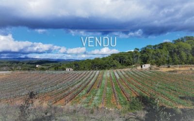 Domaine viticole de 23 hectares d’un seul tenant – Ref : 1917/023