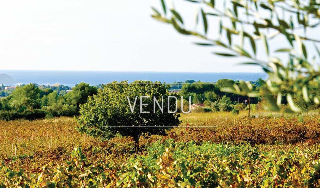 Exclusivity – Lands to plant in the Bandol appellation area – Ref : 1917/031