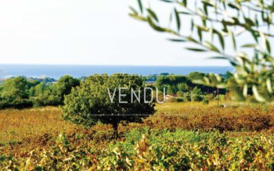 Exclusivity – Lands to plant in the Bandol appellation area – Ref : 1917/031