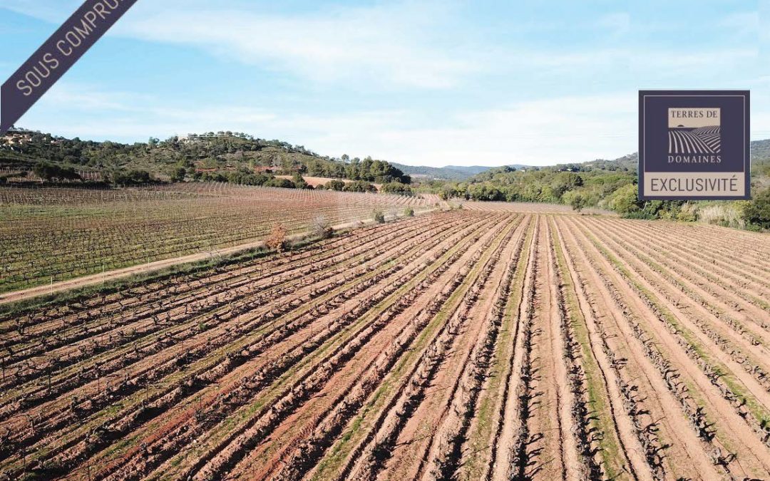 Littoral Varois Domain 100% irrigated, 100% PDO – Ref P127