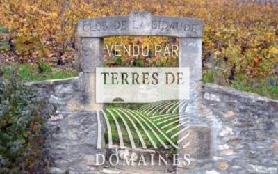 Très beau Clos, monopole, en Côtes de Nuits situé au-dessus du Clos des Lambrays