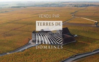 Magnificient domain in Côtes de nuit of 6 ha of vines with plots of Grands Crus (Clos Vougeot, Bonnes Mares)