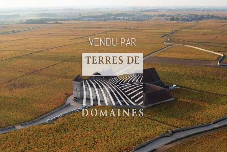 Magnifique domaine en Côtes de Nuits de 6 hectares de vignes avec parcelles de Grands Crus (Clos Vougeot, Bonnes Mares)