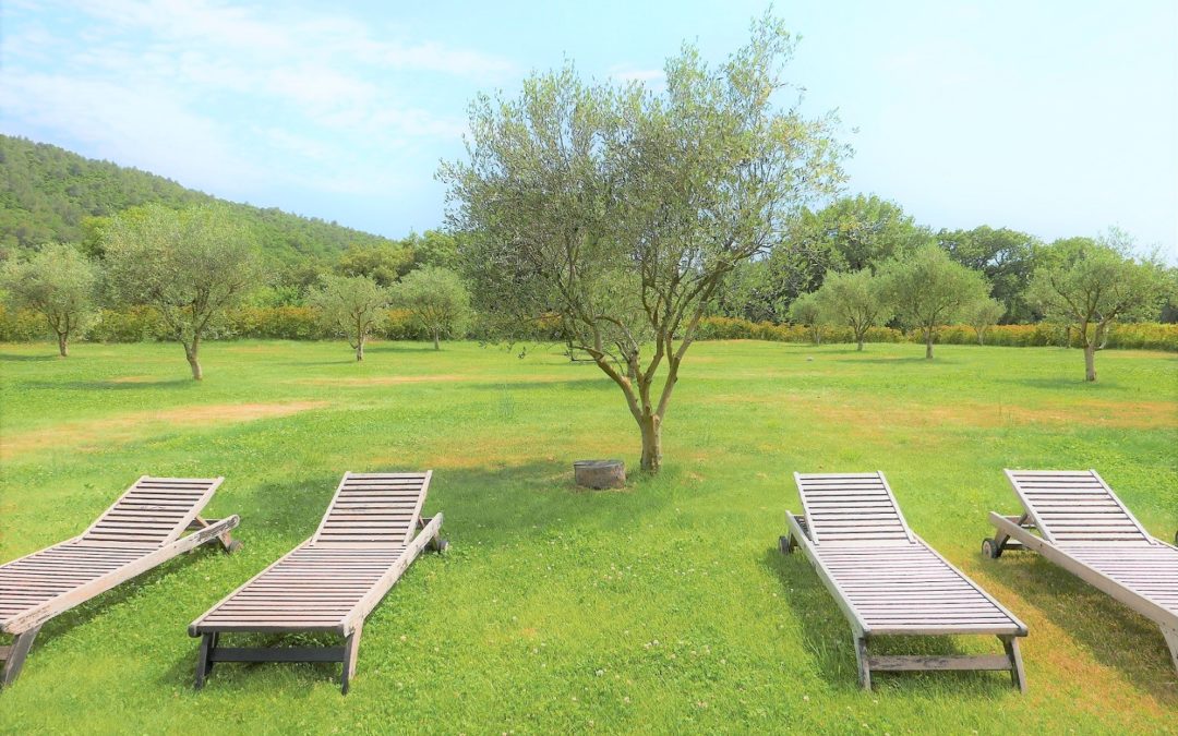 Wine estate 10 minutes from the sea – Ref P018