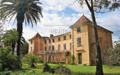 Seaside – Wine estate of 26 hectares of a single tenant  – Ref : 1917/022