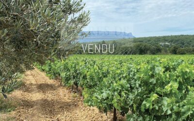 Un domaine d’un seul tenant en Provence – Ref :  P0098