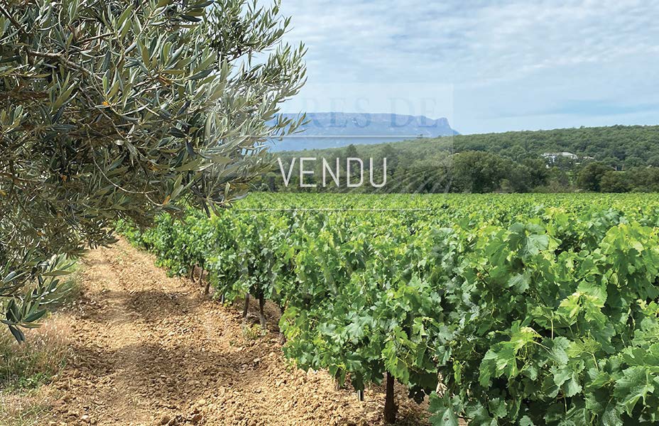 Un domaine d’un seul tenant en Provence – Ref :  P0098