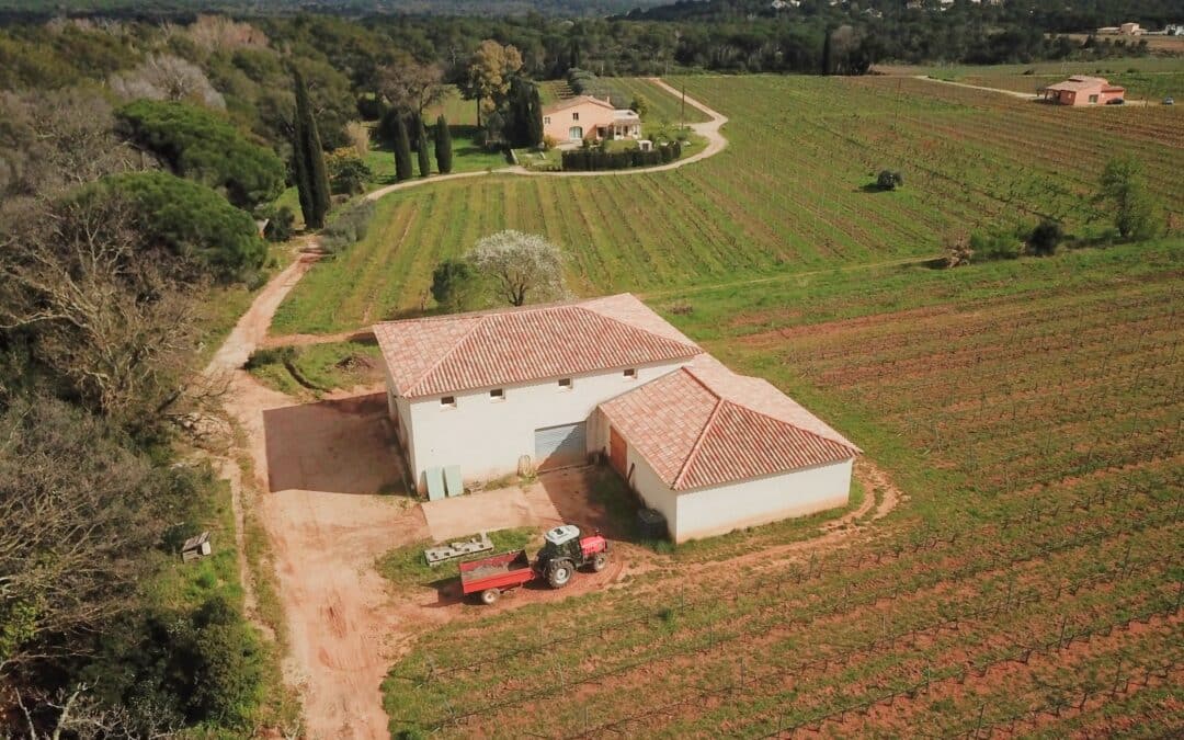 Human-size estate in “Côtes de Provence” – Ref P238