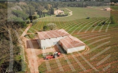 Human-size estate in “Côtes de Provence” – Ref P238