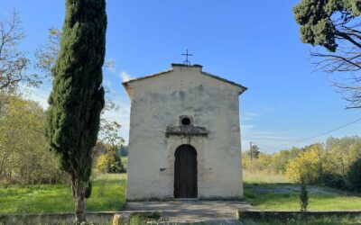 Vaste Vignoble en AOP « Coteaux-d’Aix-en-Provence » – Ref P145