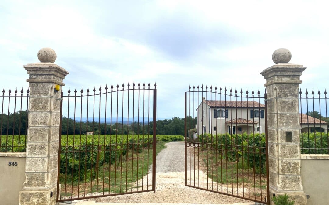 Vignoble en AOP « Côtes de Provence » – Ref P103