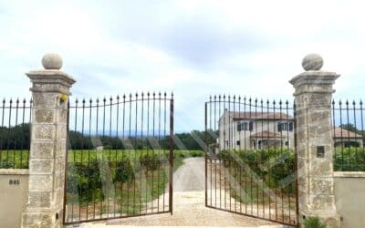AOP “Côtes de Provence” vineyard – REF P103