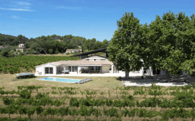 Human-size estate in “Côtes de Provence” – Ref P311