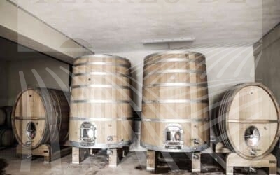 Vineyard on the Mediterranean coast – Ref P322