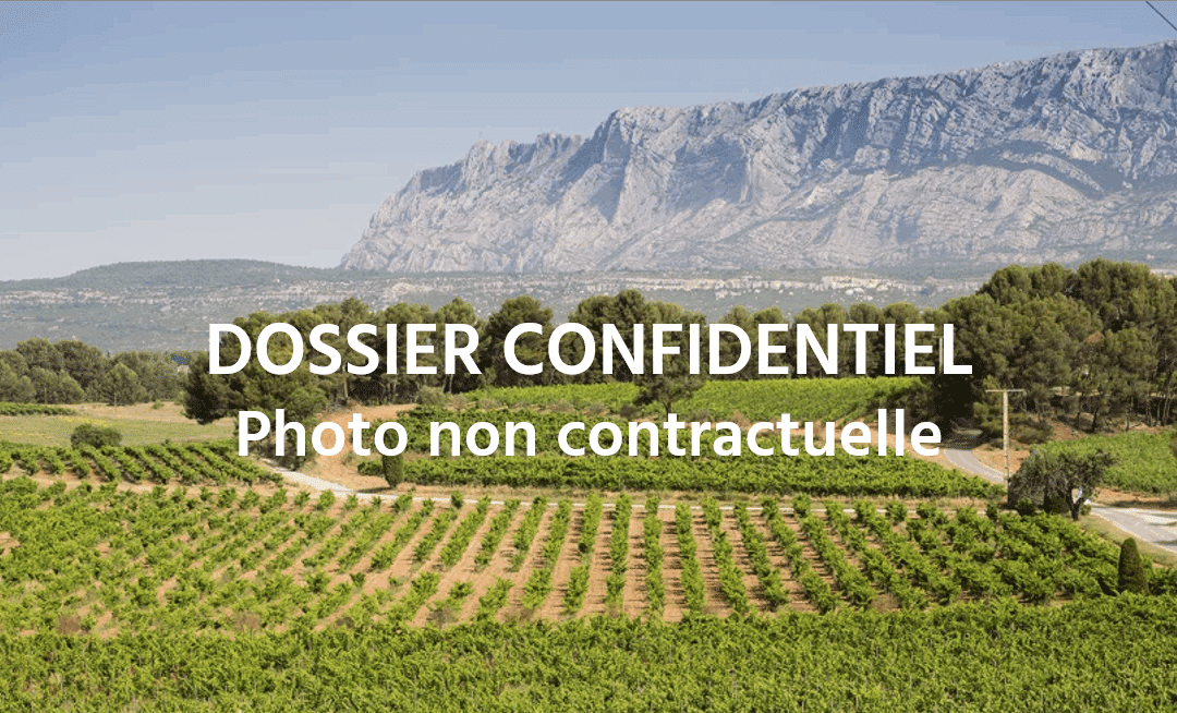Domaine emblématique en CDP – Ref P305