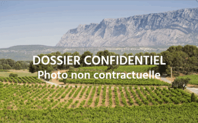 Domaine emblématique en CDP – Ref P305