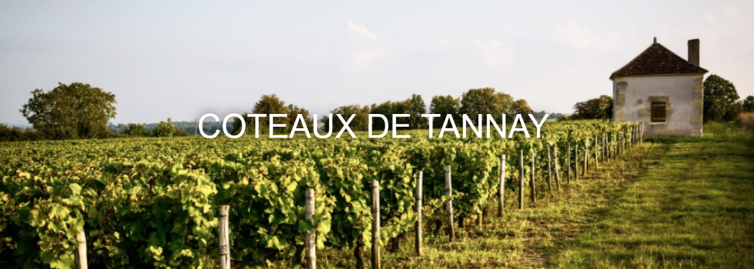 Domaine viticole à proximité Vezelay B 284 TANNAY