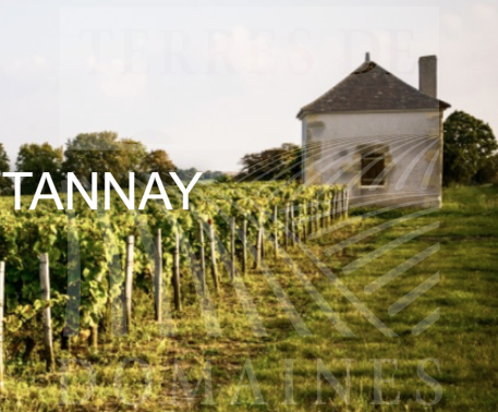 Domaine en IGP Bourgogne Nord B-284 TANNAY