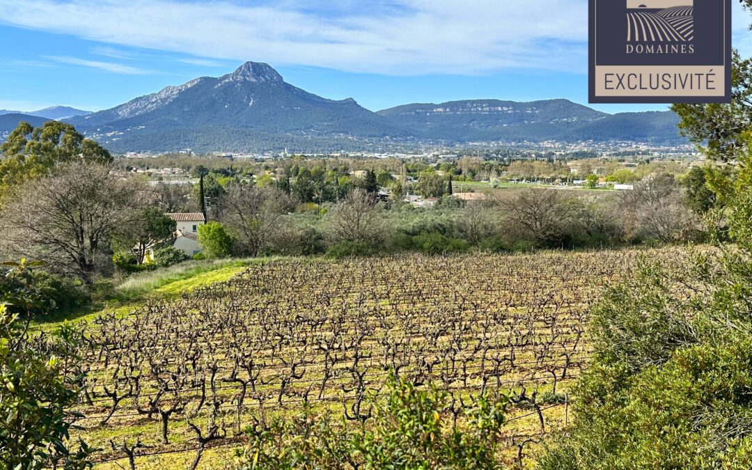 Bande Littoral vignoble d&rsquo;un seul tenant – Ref P344