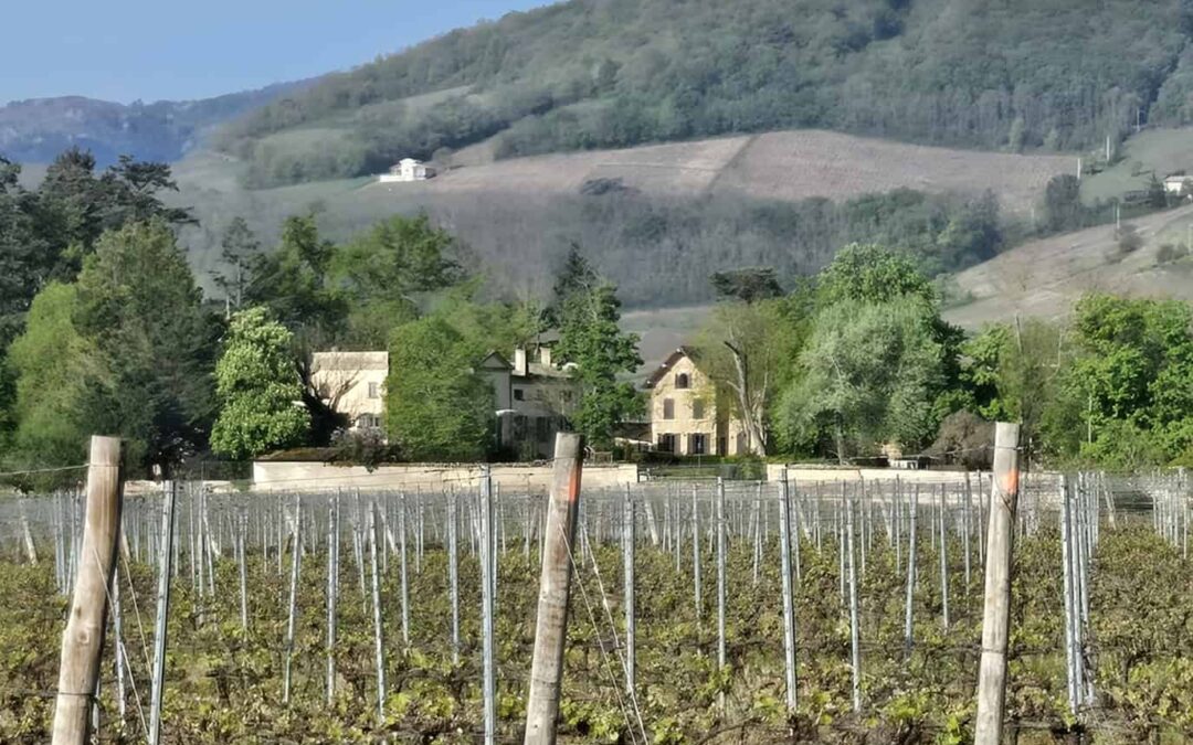 Chateau Viticole dans la Beaujolais B-302 Jéroboam