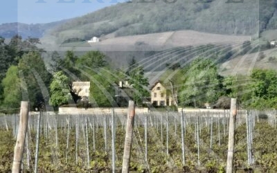 Chateau Viticole dans la Beaujolais B-302 Jéroboam