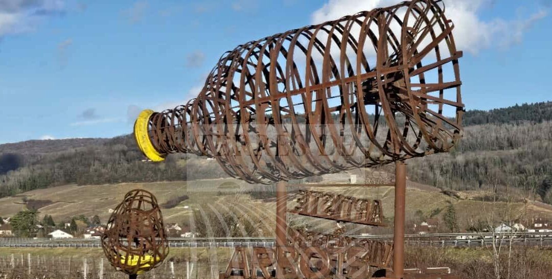 Domaine Viticole dans le Jura de 7 ha en AOP ARBOIS B-345 Foret