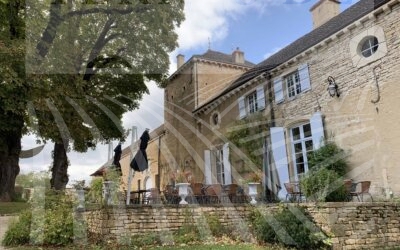Chateau Viticole, nord Maconnais, 13 Ha de vignes, B-275 Magnum