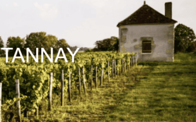Domaine Viticole Bourgogne Nord en IGP B 284-Tannay